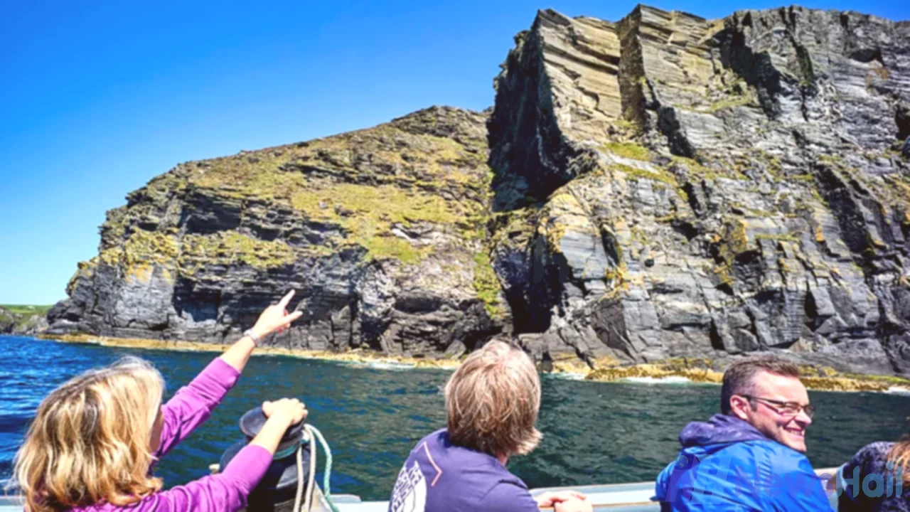 “Journey to the Calf of Man: A Rare Wildlife Sanctuary Off the Isle of Man”
