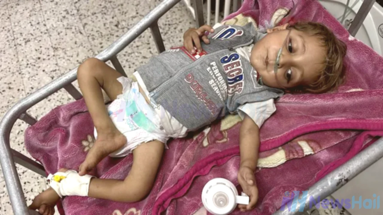 Gaza Aid Plan Leader Resigns Over Humanitarian Concerns